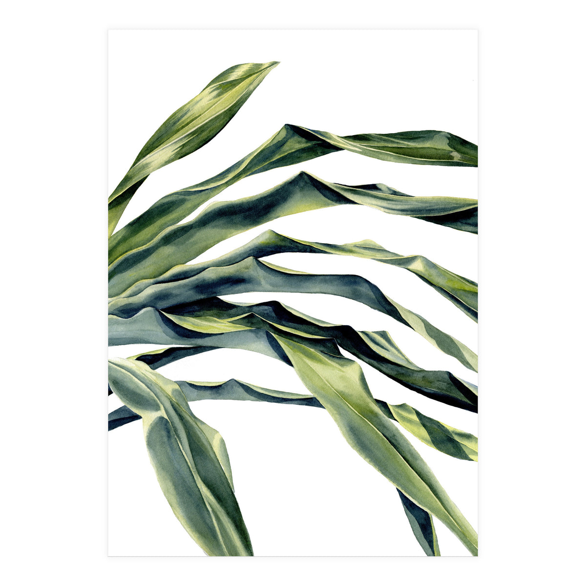Green Palm Leaves (Print Only)