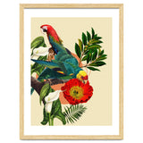 Birds Life thumbnail