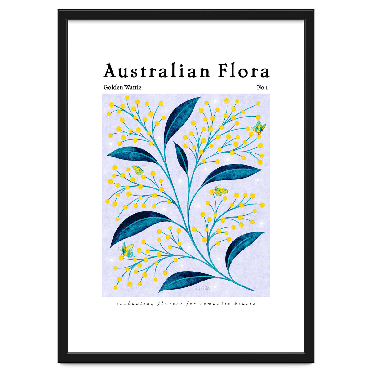 Australian Flora: Golden Wattle