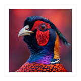 Close Up Pheasant Bird Head Detailed Feathers (Print Only) thumbnail