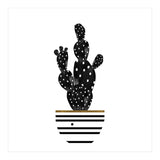 Black Cactus (Print Only) thumbnail