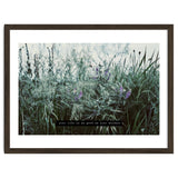 Photography - Summer Garden thumbnail