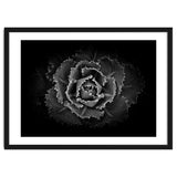 Backyard Flowers In Black And White No 101 thumbnail