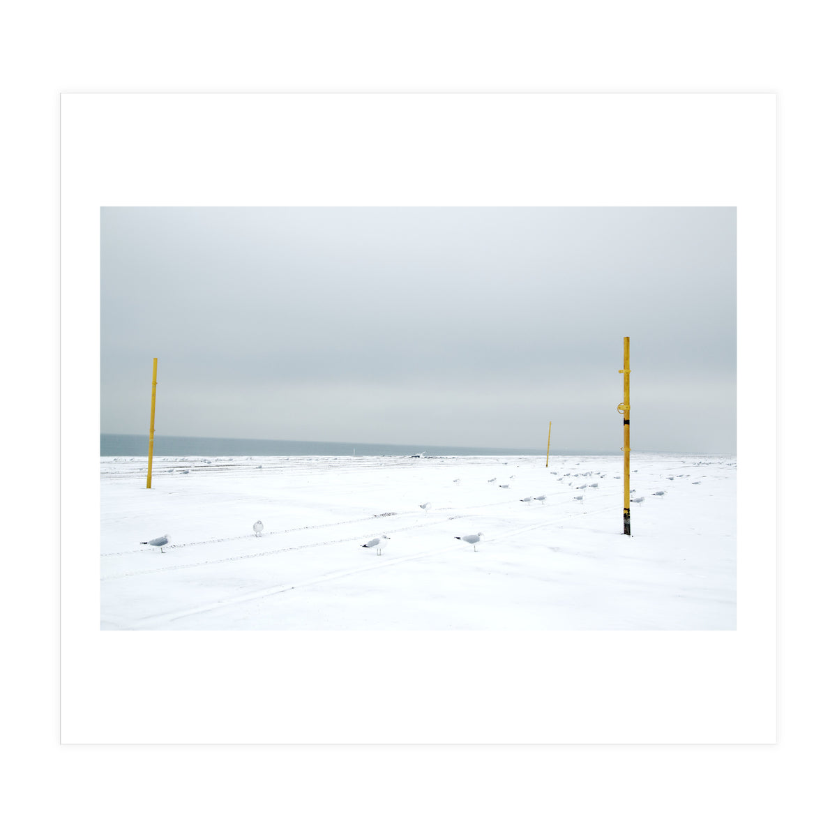 Seagulls in between the volleyball poles in winter snow beach (Print Only)