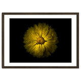 Backyard Flowers No 10 Color Version thumbnail