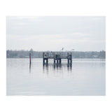 Birds rest in the Lake (Print Only) thumbnail