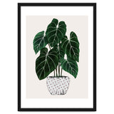 Philodendron Plant thumbnail