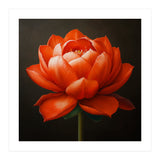 Double Lotus | Scarlet Solace (Print Only) thumbnail