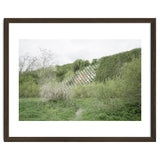 Green grass wall thumbnail