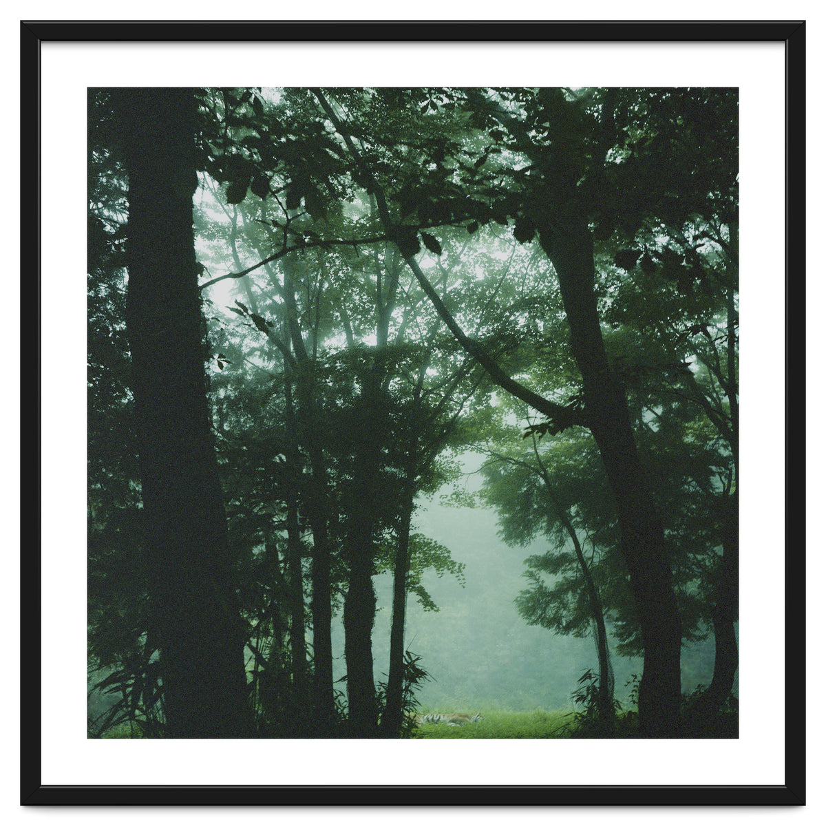 Silence of breath - 13