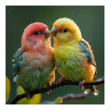 Two Lovebirds Perched On A Branch In Rain (Print Only) thumbnail