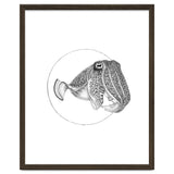 The Fascinating Cuttlefish thumbnail