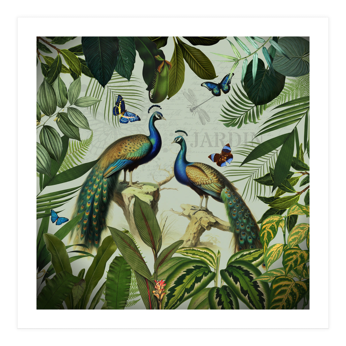 Vintage Exotic Asian Peacocks In Tropical Jungle Landscape (Print Only)