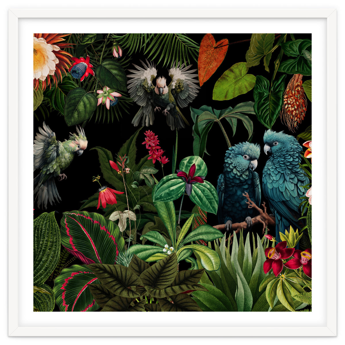 Moody Botanical Midnight Jungle Birds
