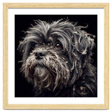 Old Dog 02 thumbnail