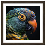 Close Up Of A Colorful Parrot's Face thumbnail