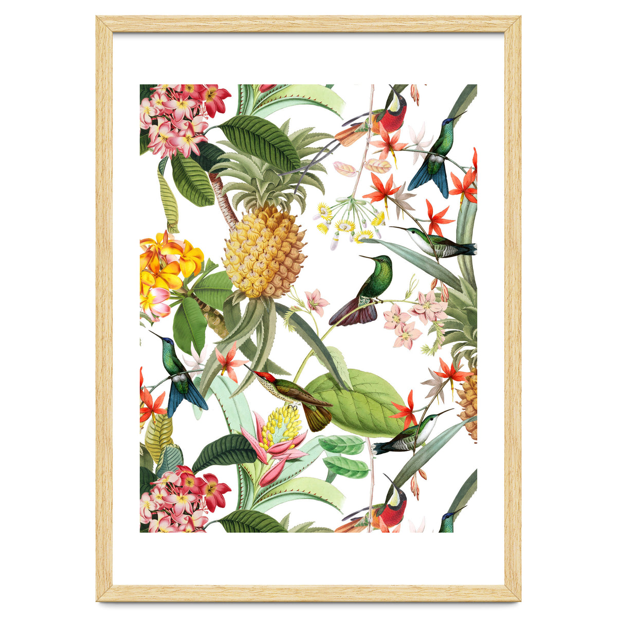 Hummingbirds in tropical Jungle