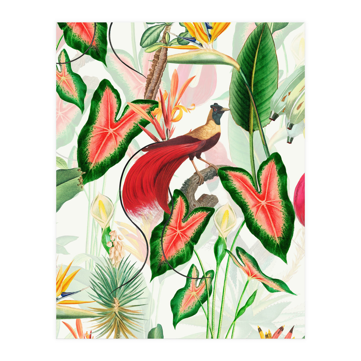 Vintage Bird Of Paradise in Jungle (Print Only)