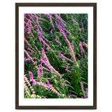 Lavender Flowers thumbnail
