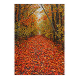 Lush Autumn Forest Path Covered (Print Only) thumbnail