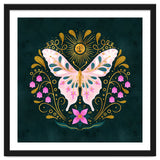 Butterfly And Sun thumbnail