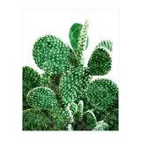 Velvet Cactus | Watercolor Botanical Plants | Minimal Boho Scandinavian Painting (Print Only) thumbnail