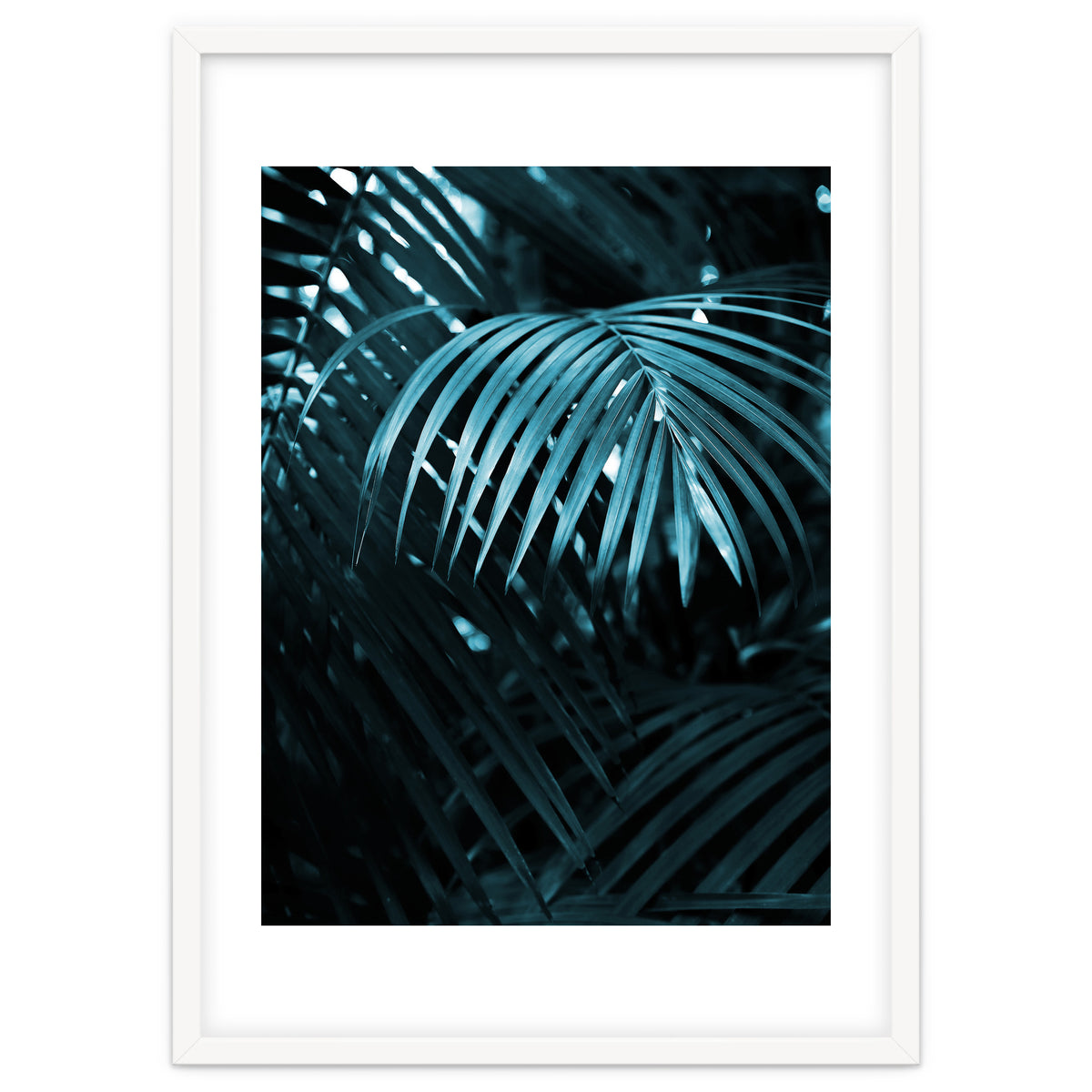 Blue Jungle Palm Ii