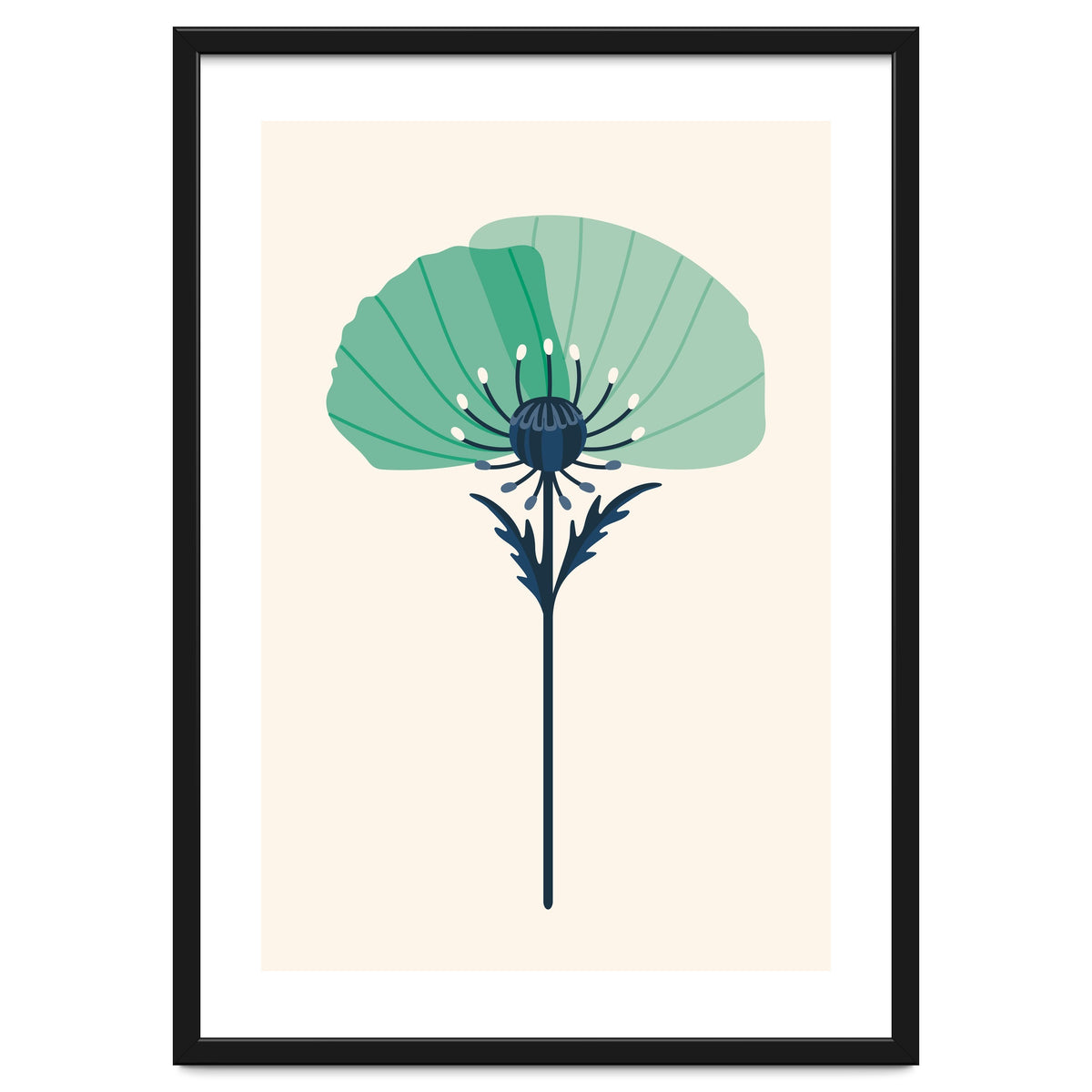 Teal Half Poppy