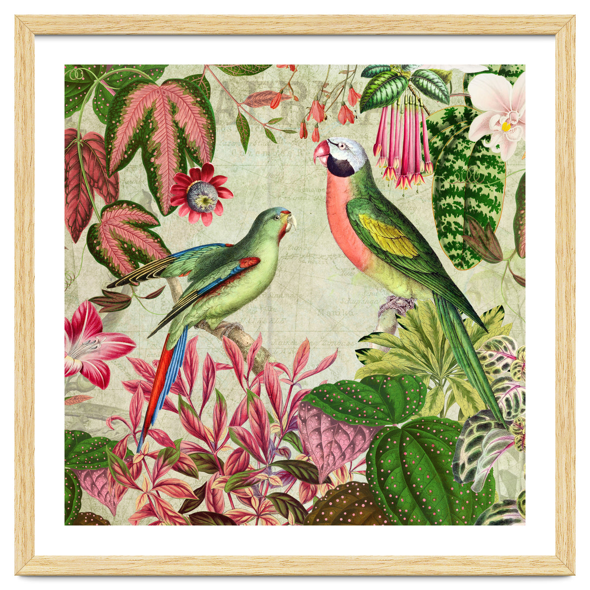 Exotic Lush Rainforest With Colorful Parrots And Flowers