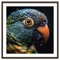 Close Up Of A Colorful Parrot's Face