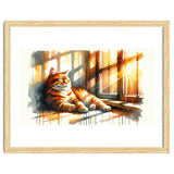 Cat Relaxing In Sunlight thumbnail