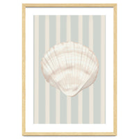 Sea shell