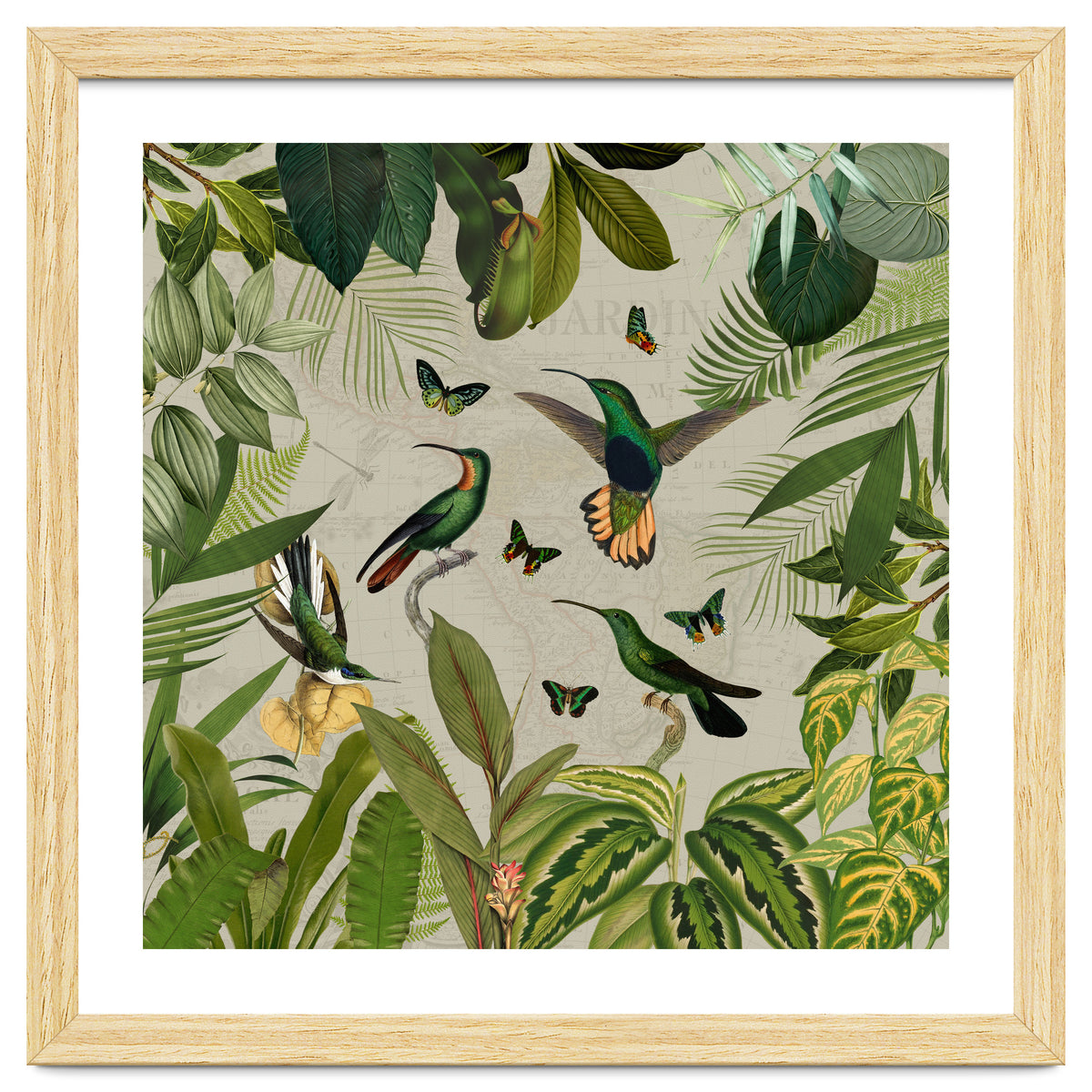 Vintage Exotic Hummingbirds Jungle