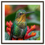Close Up Of A Hummingbird On Red Flowers thumbnail