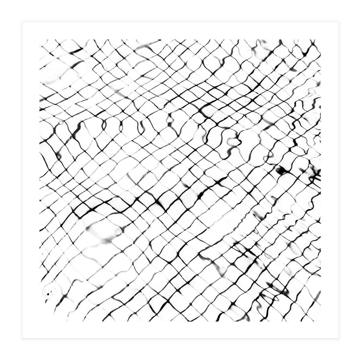 Reflection (Print Only)