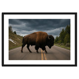Bison on the Road , Yellowstone Wildlife Photography thumbnail