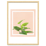 Botanical Art thumbnail