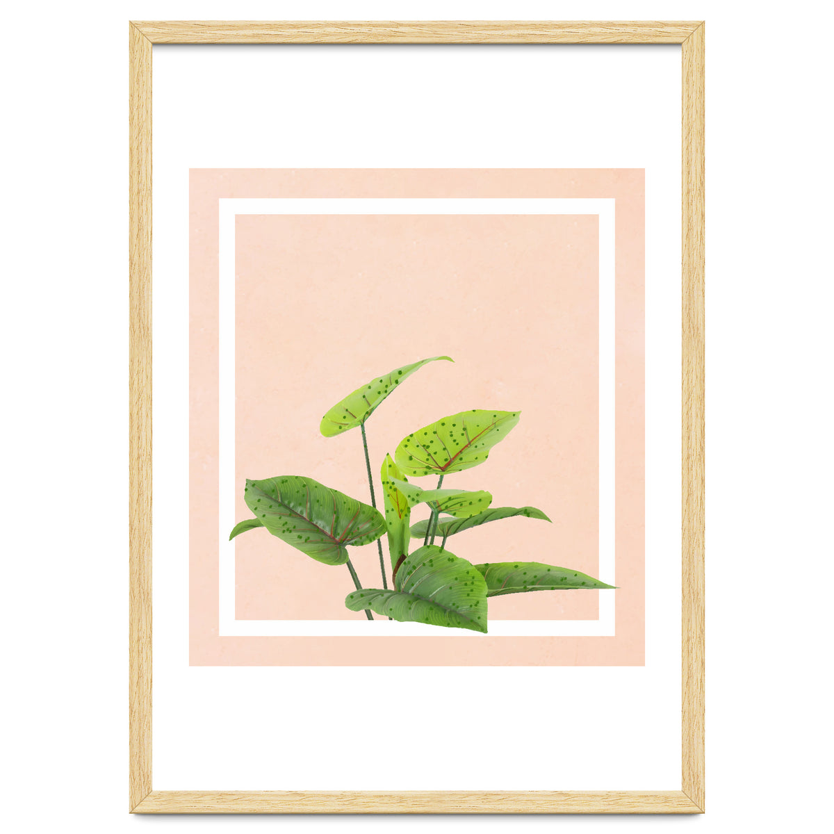 Botanical Art