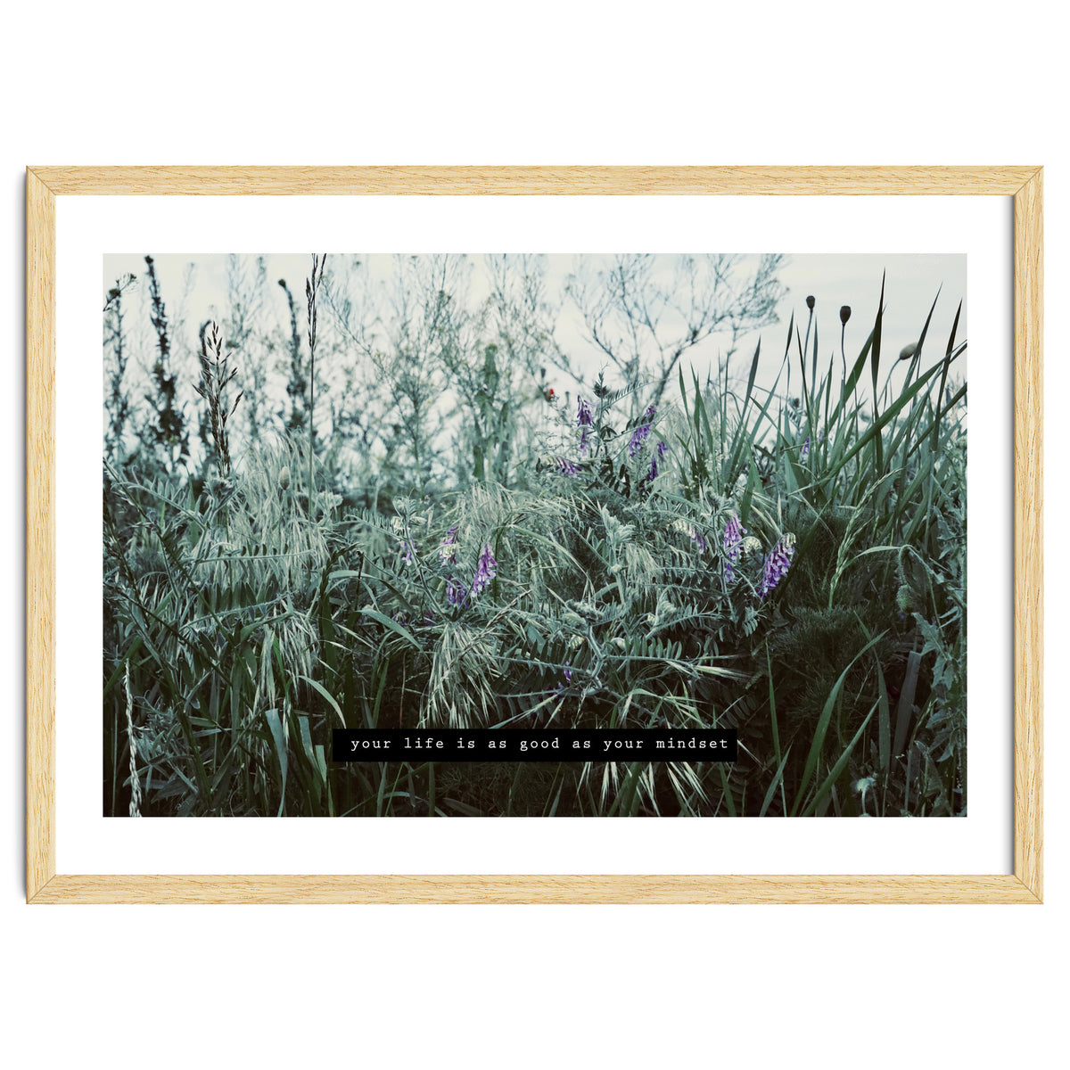 Photography - Summer Garden