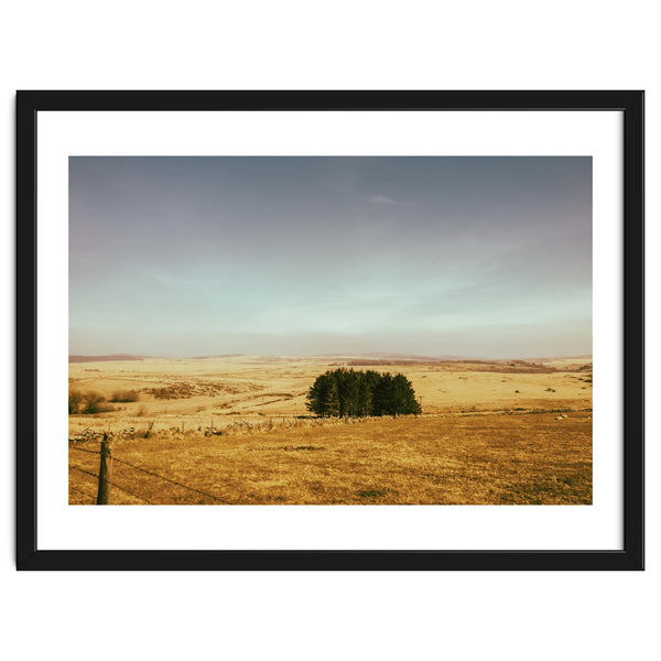 Dartmoor 2018