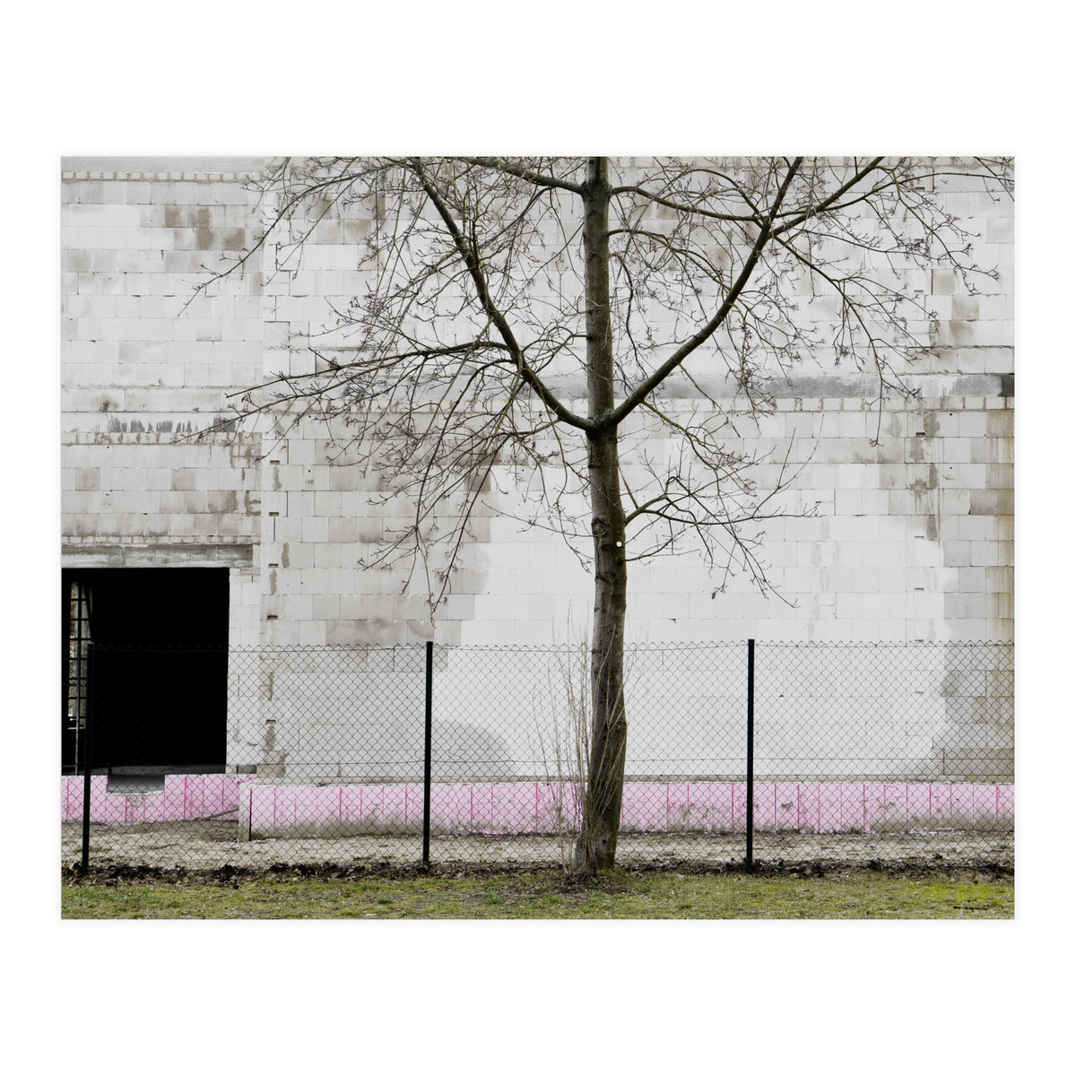 A tree in front of the wall (Print Only)