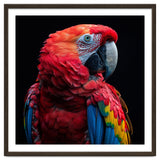 Scarlet Macaw Parrot Close Up Portrait thumbnail