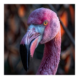 Close Up Of A Pink Flamingo Bird Face (Print Only) thumbnail