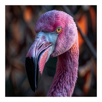 Close Up Of A Pink Flamingo Bird Face (Print Only)