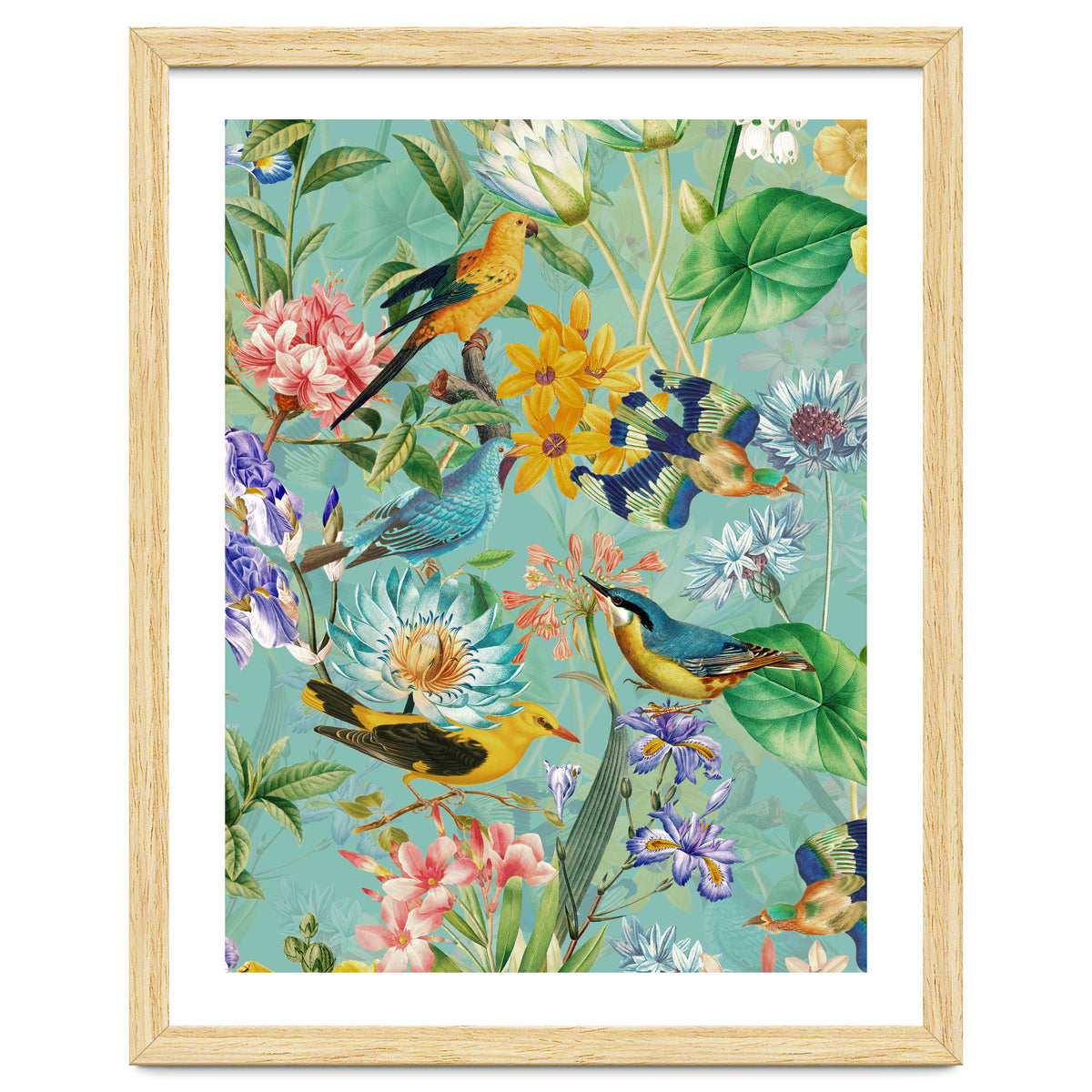 Birds In Tropical Jungle