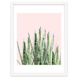 Botanical Balance thumbnail
