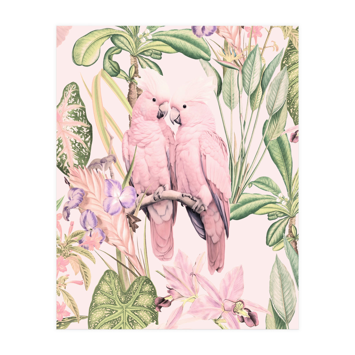 Pink Cockatoos in Love (Print Only)