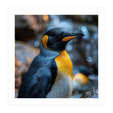 King Penguin Close Up Portrait Nature (Print Only) thumbnail