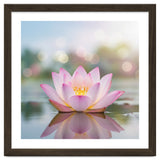 Ethereal Lotus Bloom: Serene Botanical Reflection thumbnail