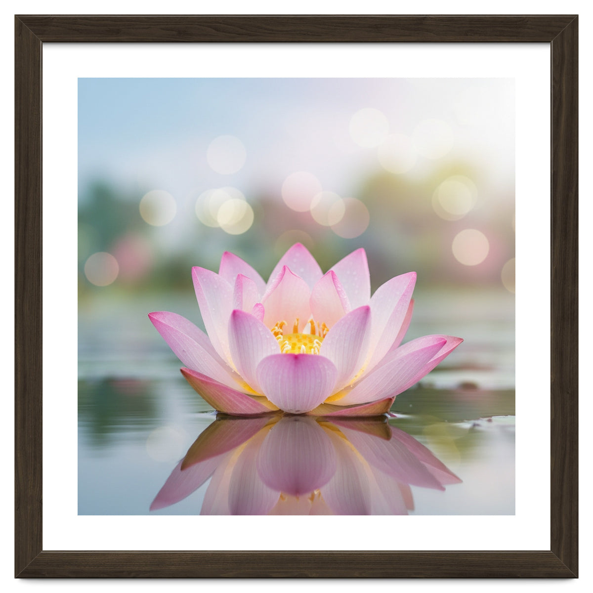 Ethereal Lotus Bloom: Serene Botanical Reflection